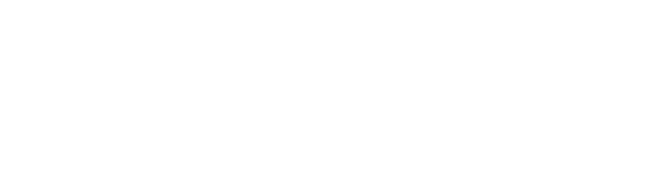 The First Collection