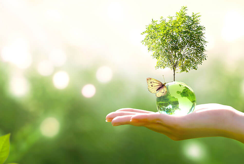 The First Group Hotels: Spearheading sustainable hospitality in the UAE