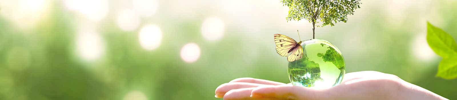 The First Group Hotels: Spearheading sustainable hospitality in the UAE