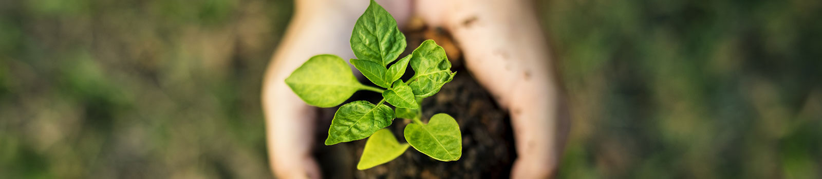 The First Group Hotels urges students to embrace climate action